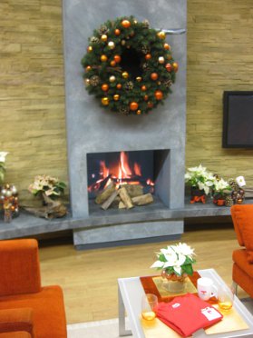 Kamin2